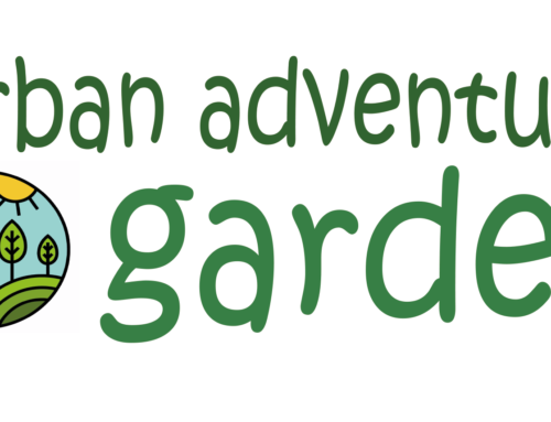 Urban Adventure Garden – Almost there!!!